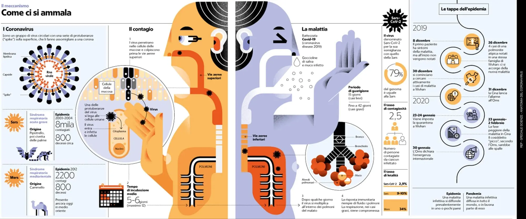 Cosa vuol dire infografica?