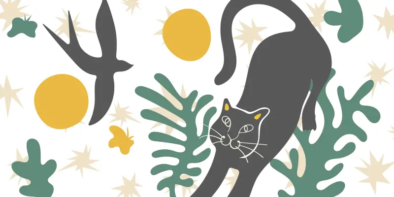 Il coraggio del volo: ciò che la Gabbianella insegna alle organizzazioni | Alice Palumbo