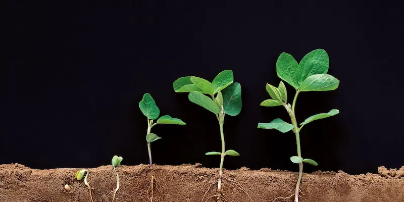 ASB\COMUNICAZIONE - Foppa Sociale & Edu Expertise